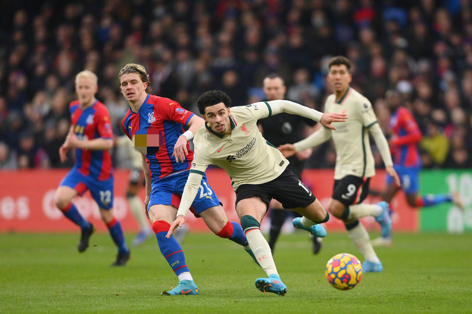 求進行了精 求進行了精